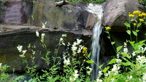 Small Waterfall Stock Footage 40420114