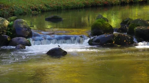 A small waterfall Stock Footage 58892821
