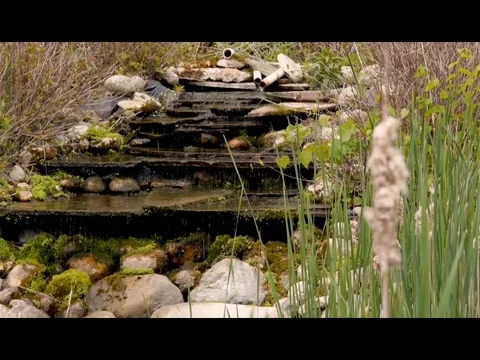 Small Waterfall Stock Footage 83248103