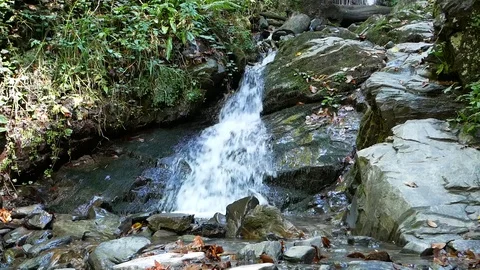 Small Waterfall Vídeo Stock 97273140