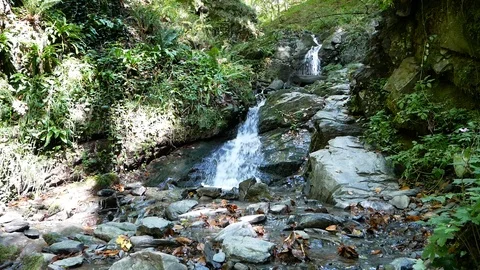 Small Waterfall Vídeo Stock 97520821