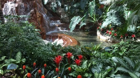 Small Waterfall Stock Footage 107446973