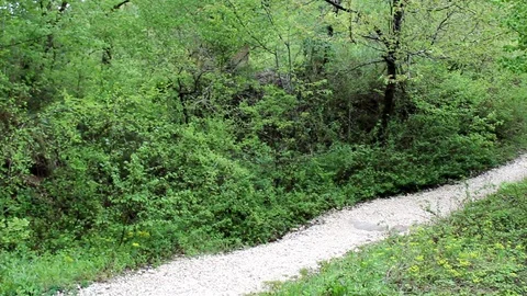 Small waterfall Stock Footage 107518993