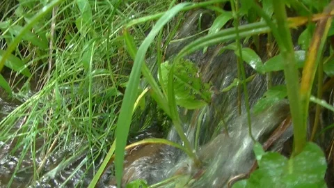 Small waterfall Stock Footage 116001494