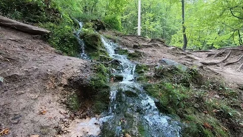 Small waterfall Stock Footage 118707588