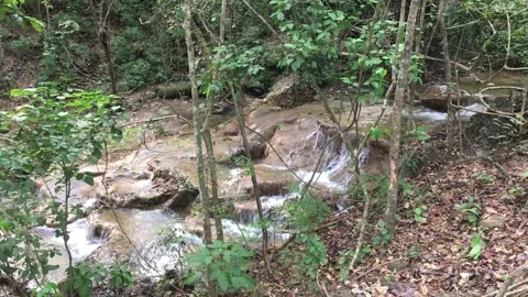 Small waterfall Stock Footage 134849425