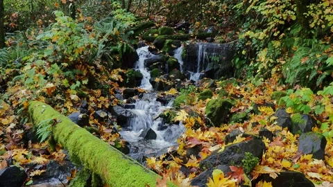 Small waterfall 库存影片 165623721
