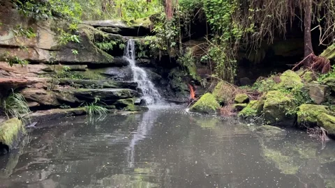 Small Waterfall Stock Footage 166020749