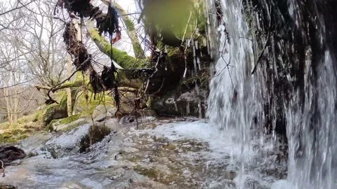 Small waterfall Stock Footage 169544838