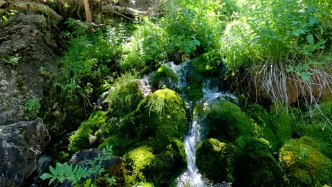 Small waterfall Stock Footage 198148287