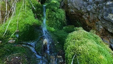 Small waterfall Stock Footage 198185487