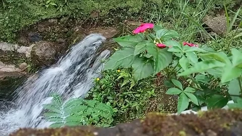 Small Waterfall Stock Footage 218226040