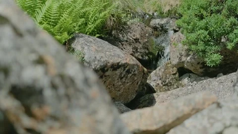 A small waterfall Stock Footage 245377140