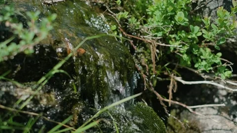 A small waterfall Stock Footage 245377291