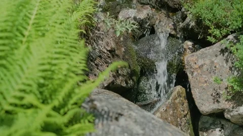 A small waterfall Stock Footage 245419613