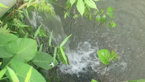 Small waterfall Stock Footage 253407983