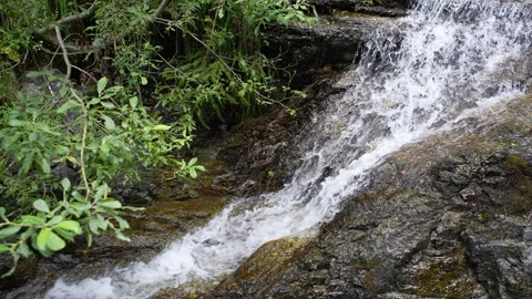 Small waterfall Video stock 296220983