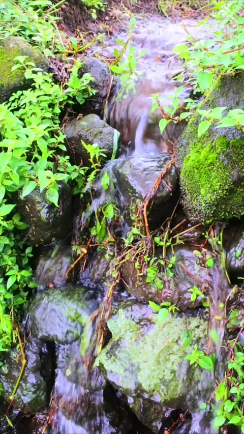 Small waterfall Stock-Footage 300270957