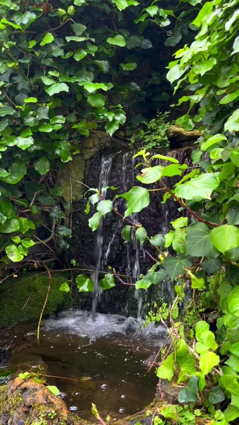 A small waterfall Stock Footage 303922132