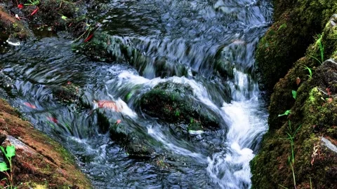 Small waterfall Stock Footage 315310918