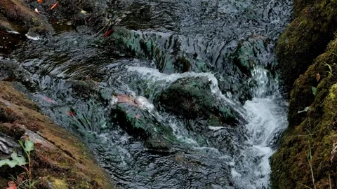 Small waterfall Stock Footage 315310943