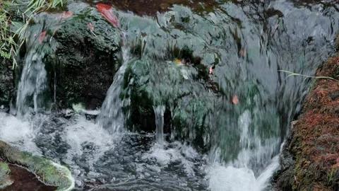 Small waterfall Stock Footage 315310944