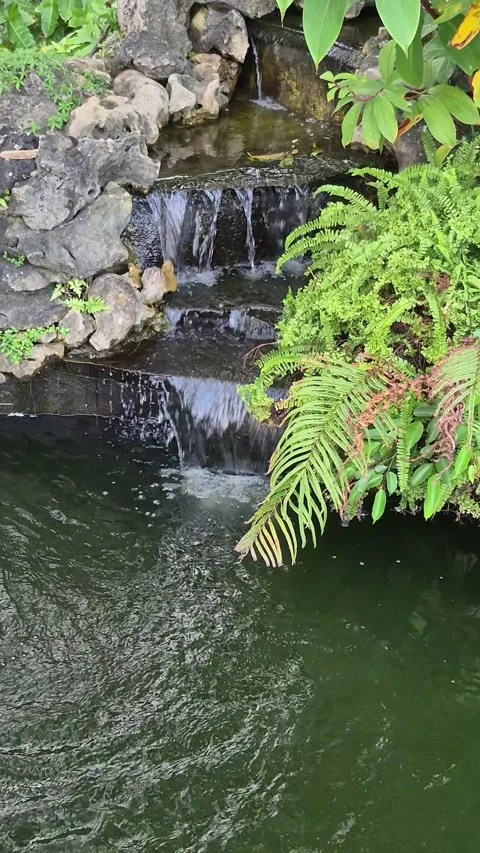 Small waterfall Stock Footage 329902573