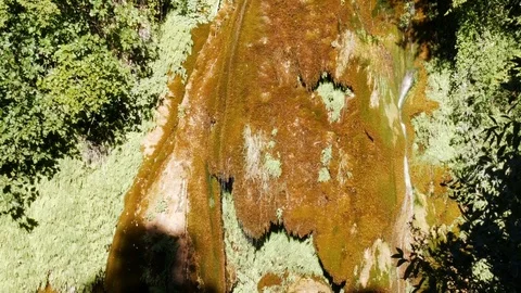 Small waterfall in a forest - 4K Stock Footage 79637936