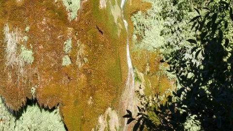 Small waterfall in a forest - 4K Stock Footage 79638570