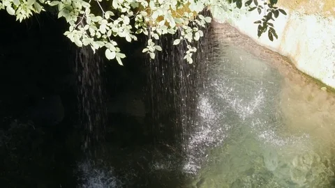 Small waterfall in a forest - 4K Stock Footage 79639779