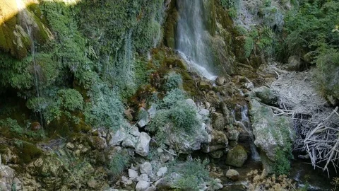 Small waterfall in a forest - 4K Stock Footage 79640246