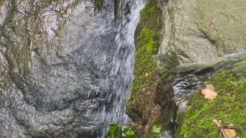 Small Waterfall in the Forest and Water Flowing Stock Footage 84523081