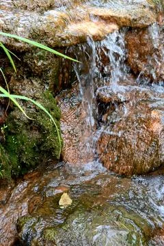 Small waterfall in forest background Stockfoto's
