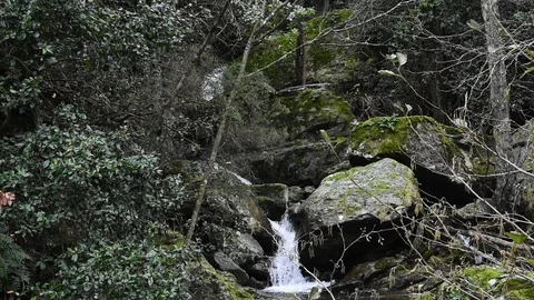 A small waterfall at the forest of Bastia Stock Footage 102657821