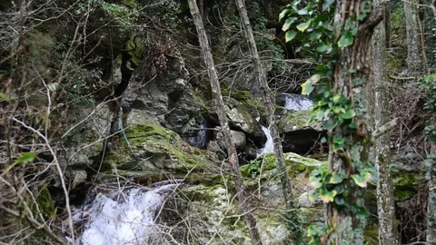 A small waterfall at the forest of Bastia Stock Footage 102662679