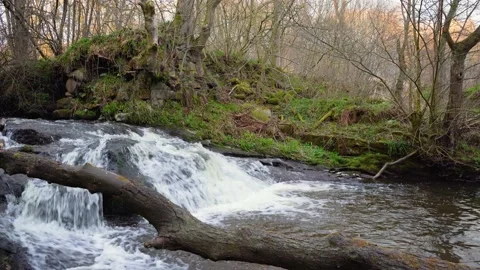 A small waterfall in the forest, beautiful forest landscape, 4K Stock Footage 132464579