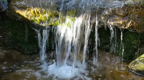Small waterfall in a forest creek Stock Footage 22017000