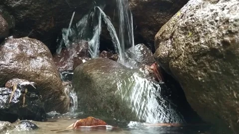 Small Waterfall in Forest with Flowing Stream and Rocks Stock Footage 329818442