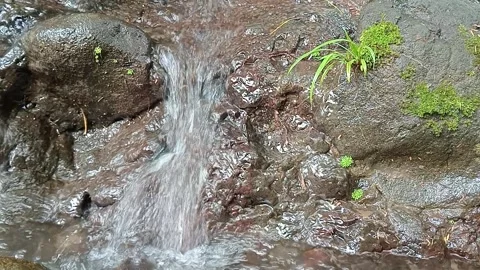 Small Waterfall in Forest with Flowing Water and Rock Texture Stock Footage 330530052