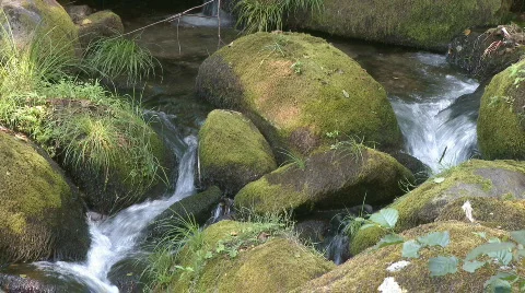 Small waterfall in forest Stock Footage 264259