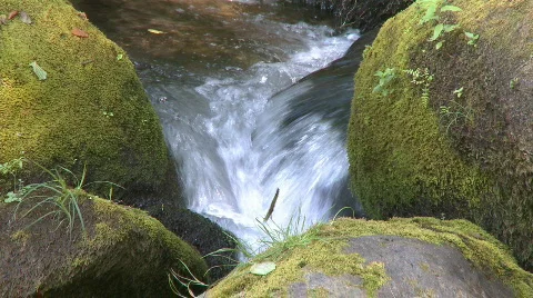 Small waterfall in forest 動画素材 299133