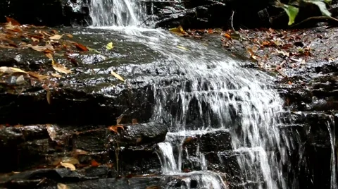 Small waterfall in the forest  Stock Footage 782010