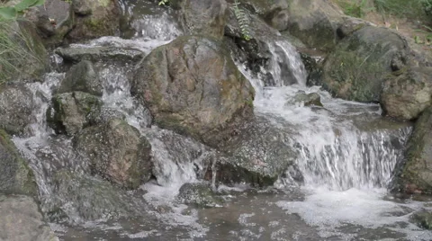 Small waterfall in forest Stock Footage 1038581