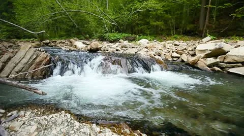 Small waterfall in the forest Stock-Footage 11490853