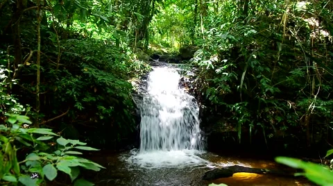 Small waterfall in forest Stock Footage 55798934