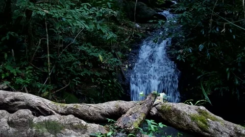 Small waterfall in forest Stock Footage 60238614