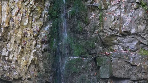 Small waterfall in the forest. Stock Footage 77007665