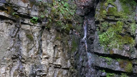 Small waterfall in the forest. Stock Footage 77007677