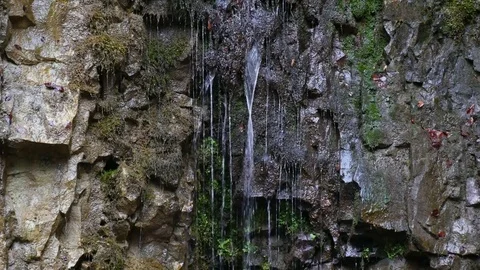 Small waterfall in the forest. Stock Footage 77007701