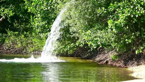 Small waterfall in forest Video stock 81695036